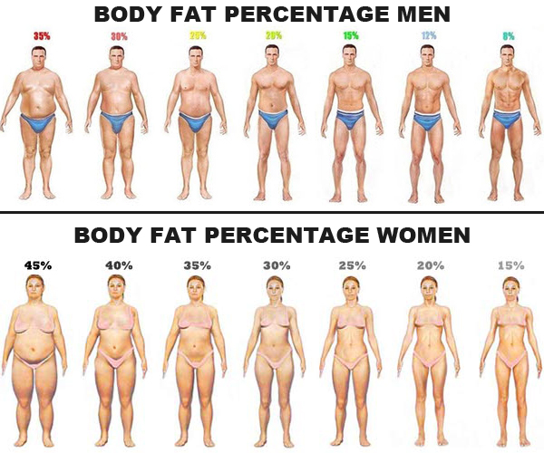 Average Body Fat Men 61
