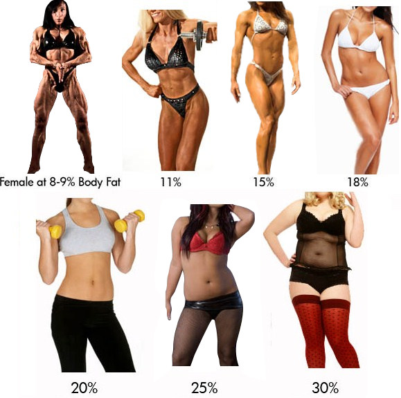 Visual Body Composition Analysis Chart